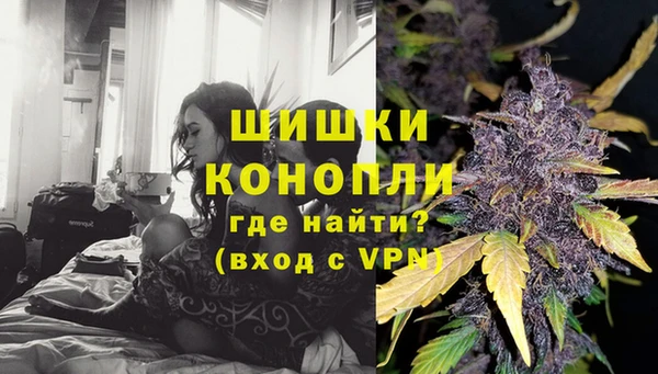 прущие крисы Няндома