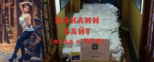 соль курить ск Новозыбков