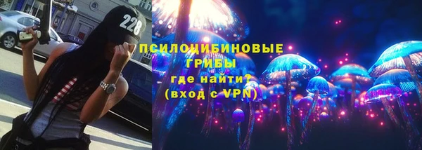 прущие крисы Няндома