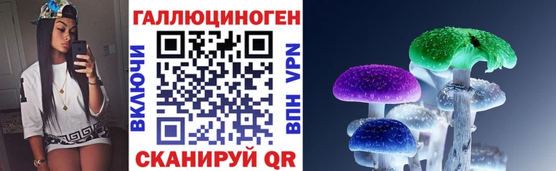 маркетплейс состав  Кизел  Псилоцибиновые грибы Psilocybine cubensis  где купить наркоту 