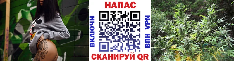Бошки Шишки индика  площадка клад  Кизел  закладка 